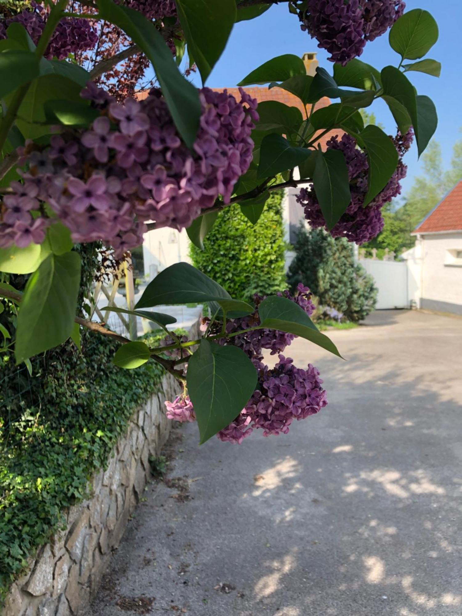 Le Clos De La Pommeraie Carly Exterior foto